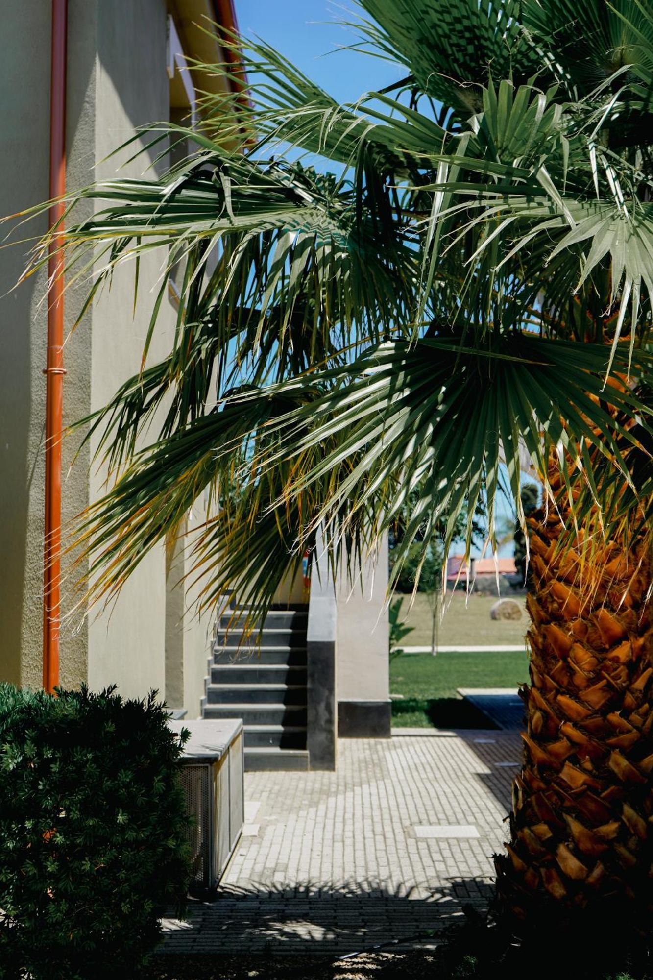 Residence Archimede 法努撒 外观 照片